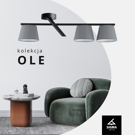 Plafon abażury szaro-czarny Sigma Lighting OLE 5 32222