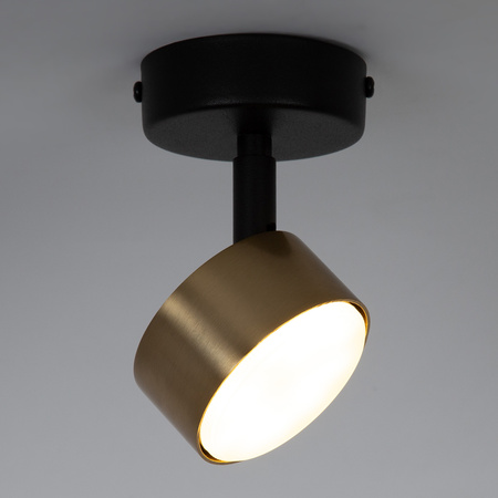 NEMO 1 S plafon czarny/złoty szczotkowany 41084