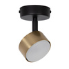 NEMO 1 S plafon czarny/złoty szczotkowany 41084
